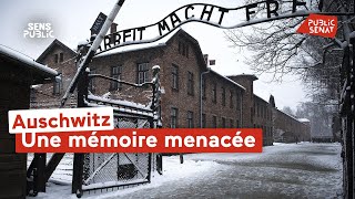 Auschwitz-Birkenau : une mémoire menacée