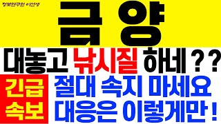 [금양 주가전망] 대놓고 낚시질 하네 ?? 절대 속지 마세요 대응은 이렇게만 !!