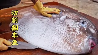 它被称为鱼中“大笨蛋”，切割过程超解压#海鲜美食 #海鲜原产地