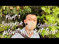 LARGEST Plant Market In Southeast Asia | A Mecca For Plant Lovers | CHATUCHAK Tour - Part 1