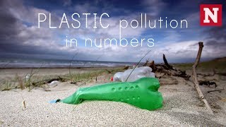 How Plastic Waste Is Killing The Oceans