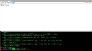 Setup a Webserver with Python Linux Tutorials clip14