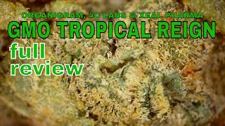 GMO TROPICAL REIGN | Organigram, 4C Labs, \u0026 Xeal Pharma | FULL REVIEW