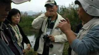 2010 板橋賞鳥季 - 新海溼地賞鳥去 birds watching.mpg