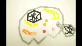 Cells - The Lego Building Blocks of Life!