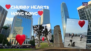 【❤️CHUBBY HEARTS HONG KONG❤️】巨型飄浮紅心「打卡」｜中環｜情人節｜快閃｜Anya Hindmarch