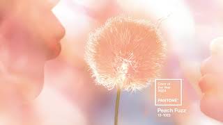 PANTONE 13-1023 Peach Fuzz, the Pantone Color of the Year 2024