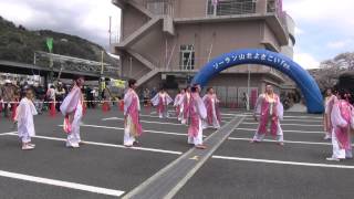 ソーラン山北よさこい２０１４－チームなでしこ