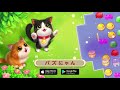 「パズにゃん kitten match」野良猫（stray cat）