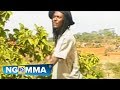Ben Mbatha (Kativui Mweene) - Niya Mbatha (Official video)