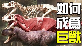 地球生物體型的巔峰是恐龍，恐龍之後再無巨獸？無法達到生物體型的極限的人類用這個黑科技稱霸地球丨動物之最