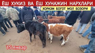 ЁШ ХУКИЗ ВА ЁШ ХУНАЖИН НАРХЛАРИ ХОРАЗМ БОГОТ МОЛ БОЗОРИ 15 01 25Г