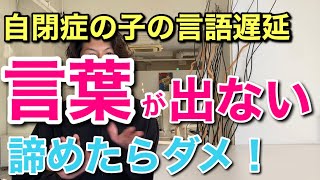 自閉症や発達障害のお子さんの言葉が遅いことについて