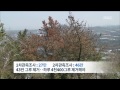 제주mbc 리포트_재선충 완전 방제 어렵다_김찬년