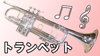 吹奏楽の花形楽器！トランペットの紹介！（180ML 37SP）