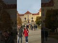 moritzburg castle dresden with the dried lake around it many white birds and amusement rides