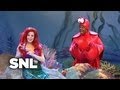 Princess and Crabby Find Osama bin Laden's Corpse Below the Waves - SNL