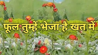 Phool Tumhe Bheja hai Khat Mein | Phool Tumhen Bheja hai Khat Mein | फूल तुम्हें भेजा है खत में| C41
