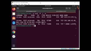 Linux lsof command for open connections and ports