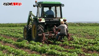 Agriculteurs : leur combat pour un métier de passion