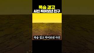 목숨 걸고 사진 찍어 보낸 친구