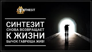 Отзыв №54 Синтезит снова возвращает к жизни. Бычок Гаврюша жив!