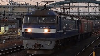 《仙台のEH500 OM出場無動回送(臨検)》EF210 123号機[新]+ムドEH500 10号機(JRFマーク付き)[仙貨]が大宮駅⑤に入線到着停車！(単8282列車・新鶴臨A991B)