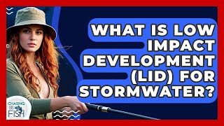 What Is Low Impact Development (LID) For Stormwater? - Chasing Big Fish