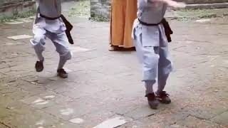 Shaolin kids - Kung Fu Training Martial Arts Chinese