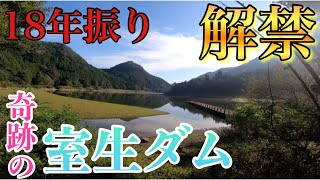 【奈良・バス釣り】18年振りにバス釣り解禁された室生ダムはパラダイスなのか行ってきた!