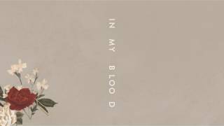 Shawn Mendes In My Blood Audio