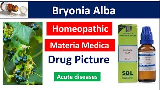 Bryonia Alba Homeopathic Medicine | Drug Picture | Materia Medica #bhms #bryonia