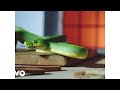Download Vampire Weekend Harmony Hall Official mp3