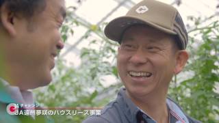 【静岡県のJA】JAチャレンジ　トマトハウスリース事業（JA遠州夢咲）