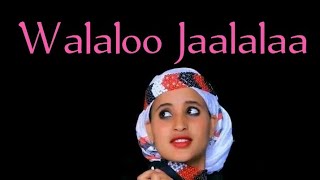 New Afaan Oromoo Walaloo Jaalalaa By Mame Carcar 2022