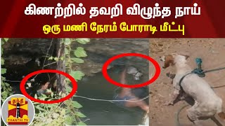 100 அடி ஆழமுள்ள கிணற்றில் தவறி விழுந்த நாய் - ஒரு மணி நேரம் போராடி மீட்பு