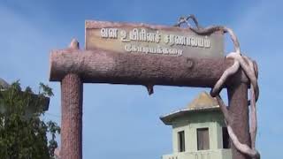 கோடியக்கரை வன உயிரின சரணாலயப் பகுதியில் 20 சென்டிமீட்டருக்கு மேல் மழை - வறட்சியால் தவித்த  வனவிலங்கு