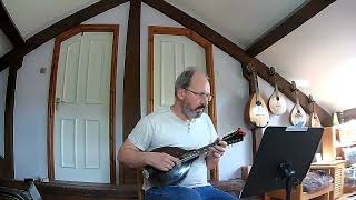 Vals efter Carl-Johan Björklund, Swedish waltz on mandolins