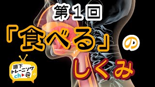 第1回「食べる」のしくみ 嚥下トレーニングチャンネル　Swallowing structure.   SWALLOW TRAINING ASSOCIATION