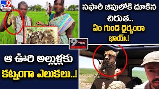 Digital Top9 News : సఫారీ జీపులోకి దూకిన చిరుత .!  | ఆ ఊరి అల్లుళ్లకు కట్నంగా ఎలుకలు..!  - TV9