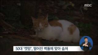 [15/10/09 정오뉴스] 난데없이 날아온 벽돌에 고양이 집 만들던 여성 참변