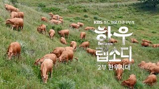 [KBS1 다큐인사이트] 한우랩소디 2부 한우 시대 하이라이트