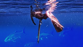 My first ever BLUEWATER Spearfishing trip was pretty insane...