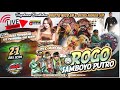 Live Jaranan ROGO SAMBOYO PUTRO Feat SHF AUDIO Live Purwodadi Purwoasri Kediri