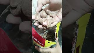 Chocos Recipe# Shiju's world# how to make Kellogg's chocos# Shorts.. 🥰🥰❤️