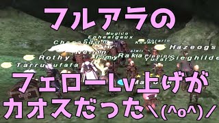 【FF11】フルアラのフェローレベル上げが超過酷な件