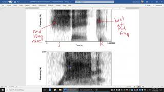 CSD3084 Lab10 walkthrough