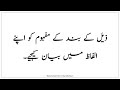 qna حصّہ نظم زمینِ کرب و بلا poet waheed akhtar class 10th urdu poem 3 full question answer