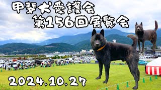 甲斐犬愛護会第156回展覧会【2024年10月27日】