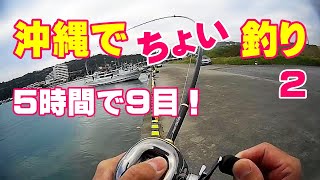 「沖縄でちょい釣り」2本目は熱田漁港で色々な魚が釣れた様子をご紹介します。2～3時間の釣り2回分を編集しました。5時間足らずで9目釣りができました。